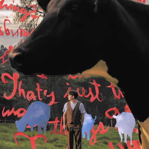 Poster cows v4